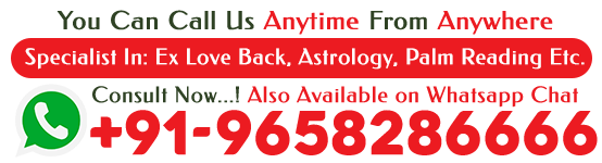 Contact Astrologer Pandit Vijay Shastri